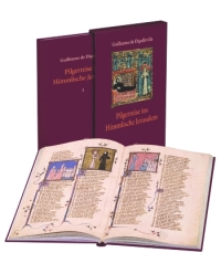 Buchpublikation PelVieD