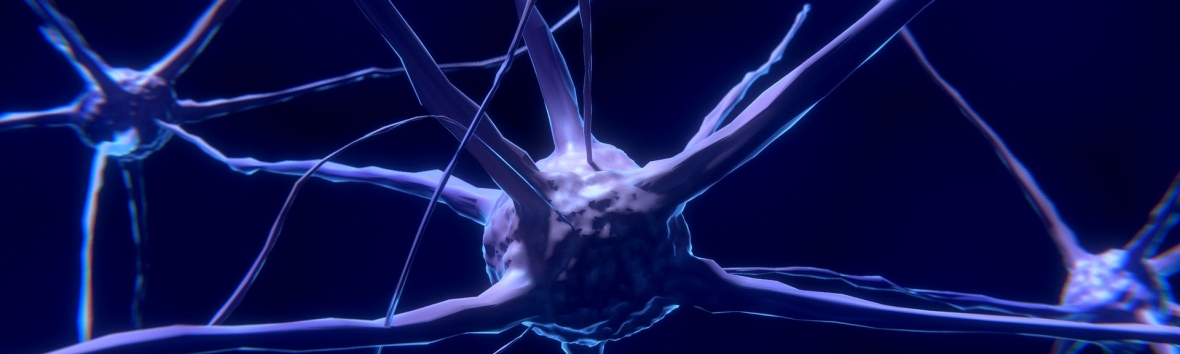 Modellaufnahme von Neuronen in dunkelblau-lila Tönen mit schwarzem Hintergrund. In der Mitte ist ein kugelförmiges Gebilde mit mehreren davon abgehenden Nervenbahnen zu sehen, das links, rechts und oben mit jeweils weiteren Neuronen verbunden ist. Die Nervenbahnen weisen über den Bildrand hinaus.