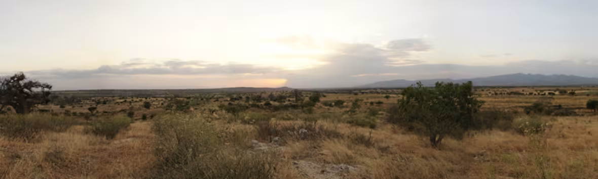 Tansania