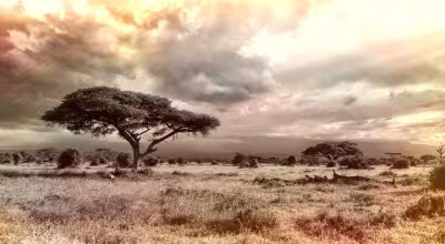 Afrika