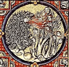 Abbildung eines Stachelbeerbusches, Bible moralisée, Hs. Wien 2554 f°60v°b [ca. 1225]