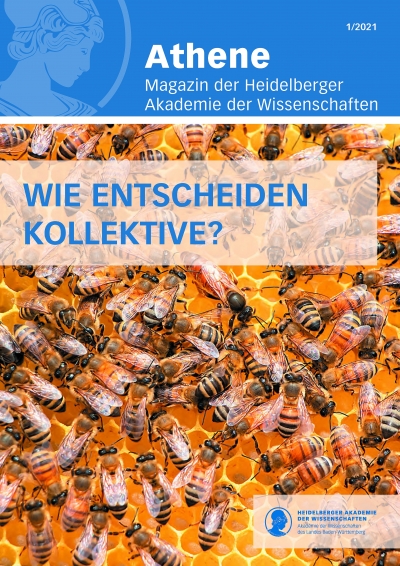 Cover der Athene 1 aus dem Jahr 2021, mit dem Titel "Wie entscheiden Kollektive?" und dem Bild einer Wabe mit Bienen im Hintergrund