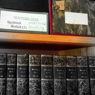 Blick auf ein Bücherregal, auf dem unteren Brett stehen schwarz eingebundene Bücher mit einer nicht lesbaren Aufschrift, auf dem oberen Regalbrett sind Kartons zu erkennen. Einer von ihnen ist beschriftet mit den Worten "ägyptisch-ähnlich (1)" daneben eine handschriftliche, nicht lesbare Notiz