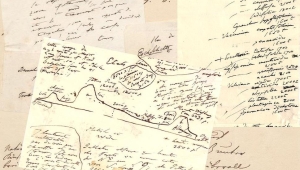 Humboldt
