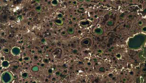 A satellite image revealing permafrost thaw