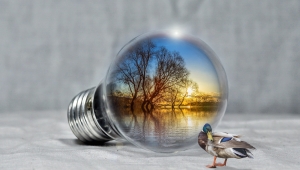 Bild zeigt eine liegende Glühbirne, in der Bäume und ein See zu sehen sind. Neben der Glühbirne sitzt eine sehr kleine Ente. 