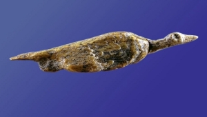 Vogel vom Hohle Fels