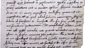 Brief Tremellius
