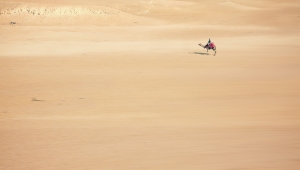 Mann auf Kamel in der Wüste