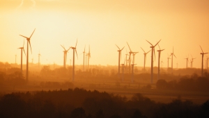 Foto von zahlreichen Windrädern bei Sonnenuntergang